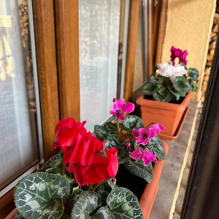 别墅 La Casina De Villar Villar de Huergo